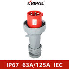 Estándar 63A 125A 380V del IEC industrial trifásico del enchufe y del zócalo de IP67